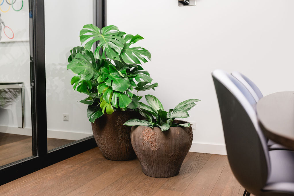 Frühling beginnt – Jetzt ist die perfekte Zeit zum Pflanzen und Dekorieren mit GAIA Pots