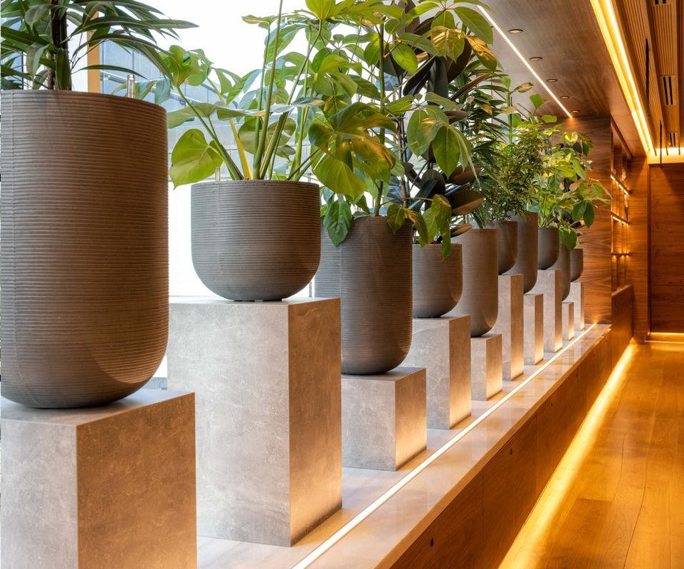 Die Kunst der Pflanzengestaltung: Hochwertige Blumentöpfe für ein blühendes Zuhause